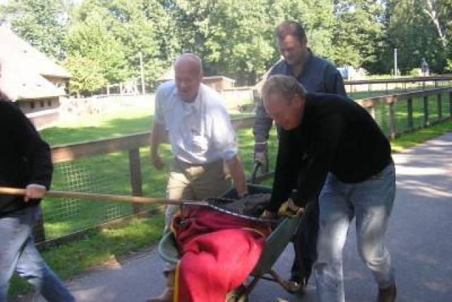 vervangen-hekwerk-bij-manege-merwebolder-2008-269 - Afbeelding 8 van 18