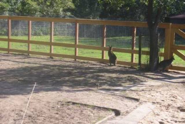 vervangen-hekwerk-bij-manege-merwebolder-2008-271 - Afbeelding 10 van 18