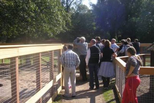 vervangen-hekwerk-bij-manege-merwebolder-2008-272 - Afbeelding 13 van 18